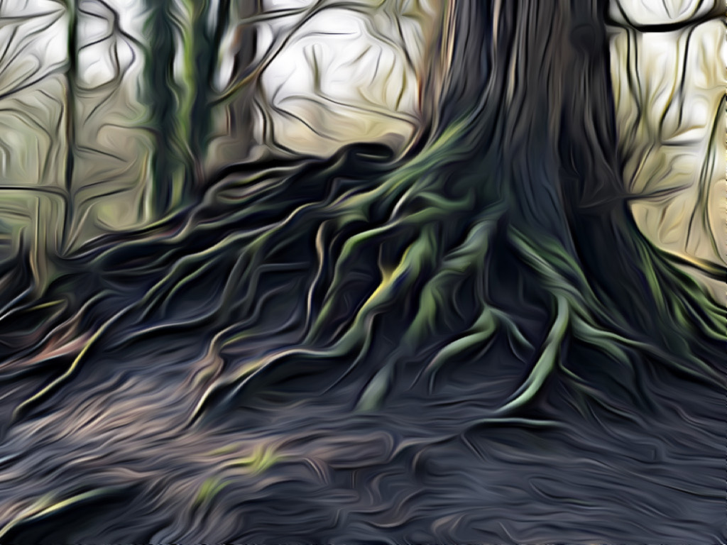 Tangled tree roots