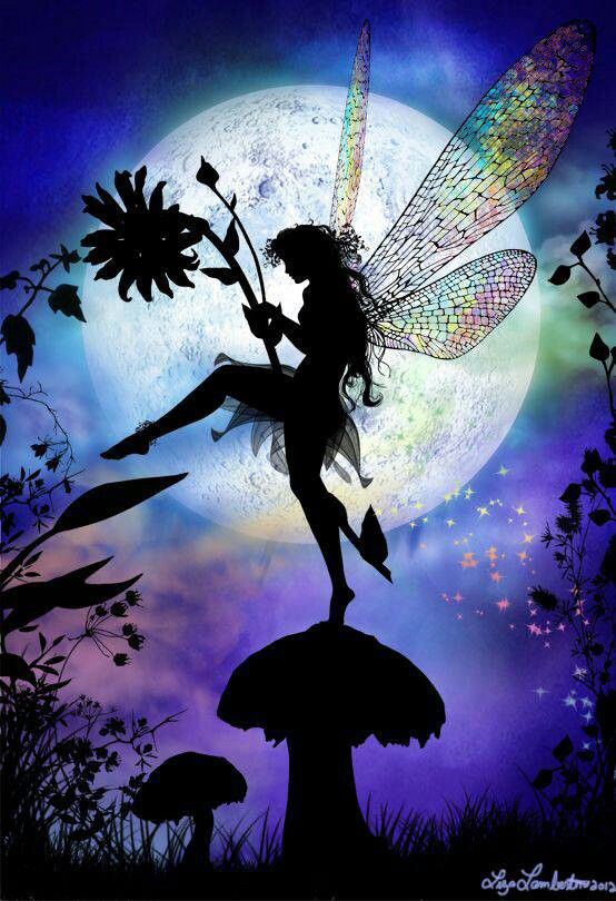 The fairy star dancer