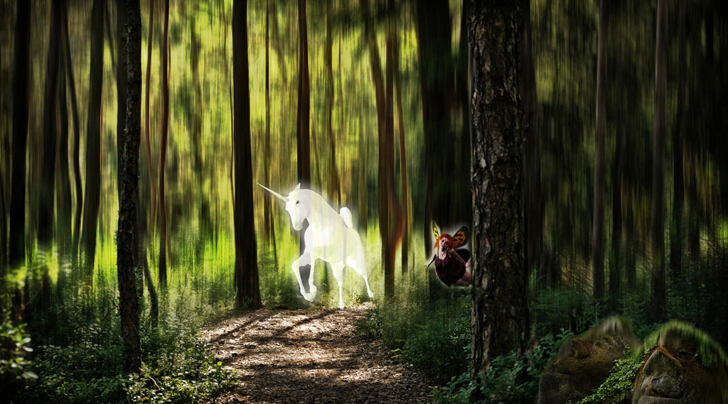 fairies flying about calling the unicorns