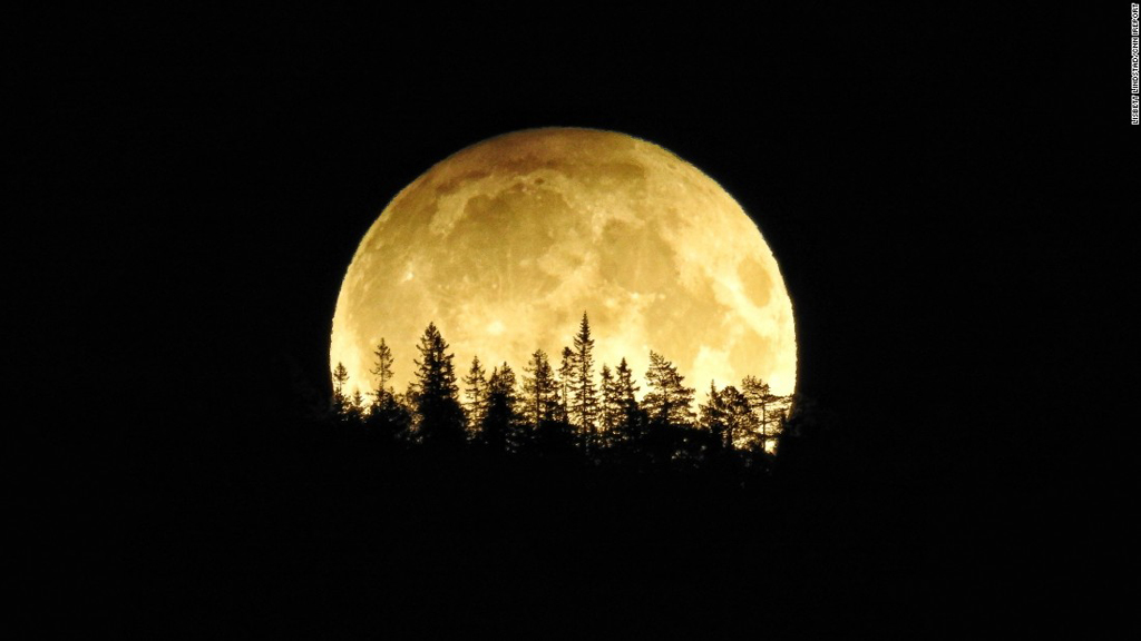 the full harvest moon over the forest