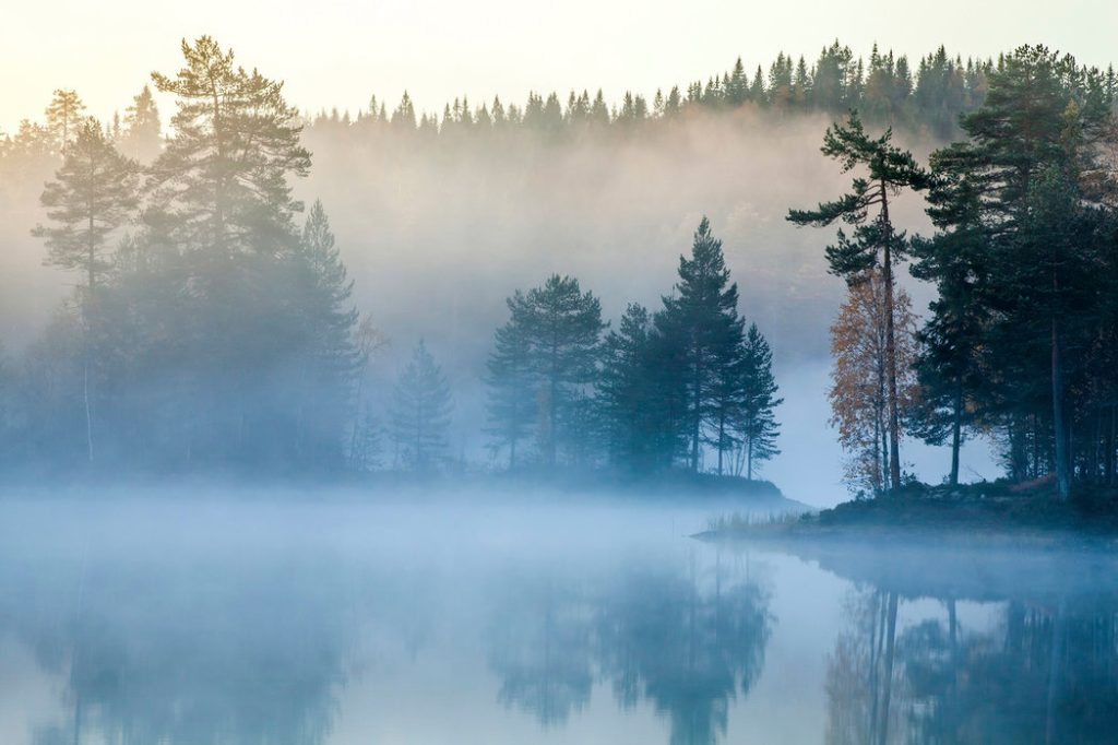 the magic morning mist over the lake