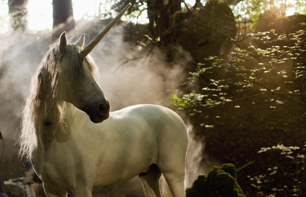 the magical unicorn