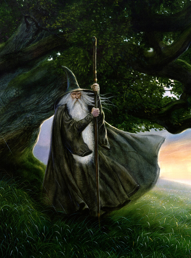 the lord high elf with long white beard and staff