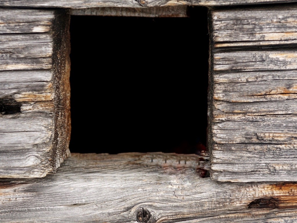 window opening at the back of the shack